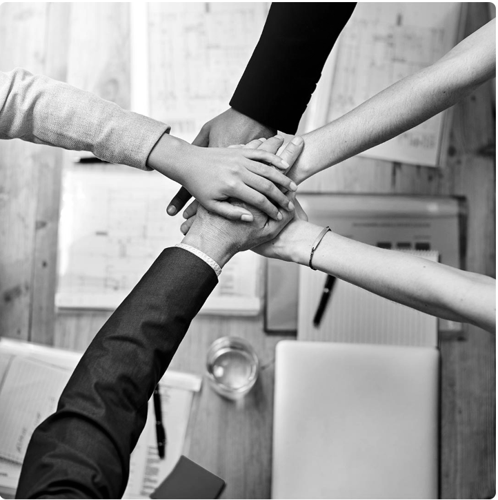 Trabajo colaborativo de aliados y consultores